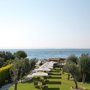 Ida Costa Hotel - Special Category